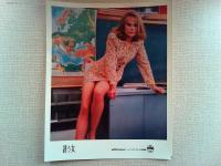 映画「誘う女」ロビーカード6枚　ニコール・キッドマン　マット・ディロン　
監督ガス・バン・サント　