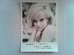 映画「アイドルを探せ」ロビーカード　2枚　　シルビー・バルタン