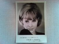 映画「アイドルを探せ」ロビーカード　2枚　　シルビー・バルタン