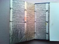 その木戸を通って