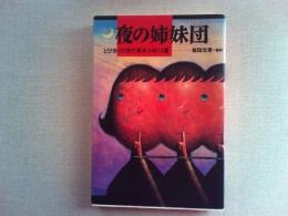 夜の姉妹団 : とびきりの現代英米小説14篇