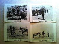 映画「砂漠の流れ者」ロビーカード9枚　　ジェイソン・ロバーズ　ステラ・スティーヴンス　　監督　サム・ペキンパー　　1970年