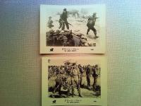 映画「グリーン・ベレー」　ロビーカード14枚　ジョン・ウェイン　デヴィッド・ジャンセン　　監督ジョン・ウェイン　　レイ・ケロッグ