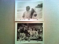 映画「追憶」ロビーカード7枚　ロバート・レッドフォード　バーブラ・ストライサンド
監督　シドニー・ポラック　1973年