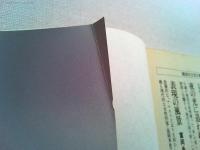 夜の光に追われて