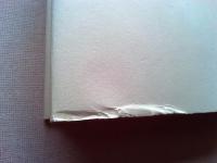 ベースボール革命 : 21世紀への野球理論