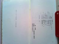 モダン・シティふたたび : 1920年代の大阪へ