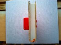 新フランスワイン