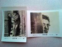 映画「真夜中のボーイ」　ロビーカード8枚　ダスティン・ホフマン　ジョン・ヴォイト監督ジョン・シュレシンジャー　日本公開1969年