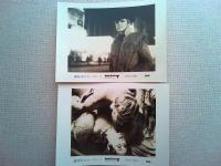 映画「真夜中のボーイ」　ロビーカード8枚　ダスティン・ホフマン　ジョン・ヴォイト監督ジョン・シュレシンジャー　日本公開1969年