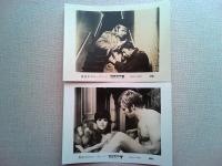 映画「真夜中のボーイ」　ロビーカード8枚　ダスティン・ホフマン　ジョン・ヴォイト監督ジョン・シュレシンジャー　日本公開1969年