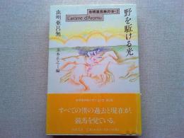 虫明亜呂無の本 : L'arôme d'Aromu