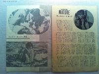 映画「虎鮫作戦」　ヴィクター・マチュア　カレン・スティール
監督ジェリー・ホッパー　日本公開1960年　
武田薬品工業株式会社　パンビタンペレー　商業広告