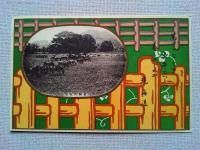 【絵葉書】北海道拓殖絵葉書　4枚　袋付き