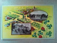 【絵葉書】昭和十一年十月　北海道　陸軍特別大演習
3枚　袋付き　維新堂書房