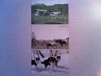 【絵葉書】神津牧場絵葉書　明治製菓株式会社　7枚　袋付き