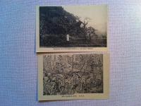 【絵葉書】近松二百年祭記念絵葉書《第四集》　朝日新聞社発行
4枚　袋付き