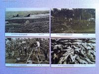 【絵葉書】開道七十年記念　北海道之産業　　10枚　袋付き