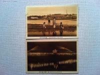 【絵葉書】弁天島土地株式会社・楽園絵葉書4枚　袋付き