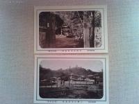 【絵葉書】相州湯河原温泉《旅館天野屋》絵葉書　6枚　袋付き