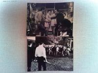 映画「やくざ番外地」ロビーカード5枚　丹波哲郎　山本陽子　佐藤慶
監督　西村昭五郎　日活1969年公開　