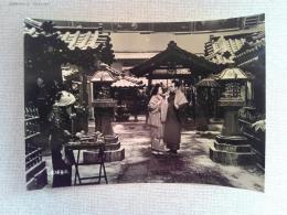 映画「夫婦善哉」ロビーカード1枚　森繁久彌　淡島千景　監督豊田四郎
東宝　1955年　