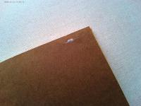 生涯を賭けた一冊