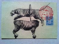 【絵葉書】万国婦人子供博覧会　絵葉書　3枚 袋付
1933年03月17日（昭和8年）～1933年05月10日（昭和8年） 開催地：東京都 会場：上野公園(竹の台、不忍池畔)