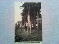 【絵葉書】先帝御記念絵葉書　東京国民新聞社謹製　大正元年八月
絵葉書3枚　袋付き