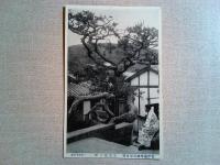 【絵葉書】紀伊湯崎温泉場《旅館有田屋》絵葉書　11枚　無地の袋付き