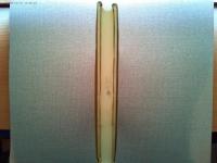 さい遊記 : 篠原資明詩集