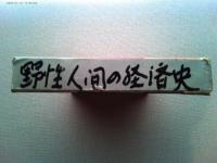 野性的人間の経済史 : 安田善次郎から松永安左衛門まで