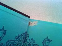 野性的人間の経済史 : 安田善次郎から松永安左衛門まで