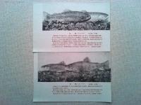 【絵葉書】滋賀県醒井養鱒試験場　絵葉書　5枚　袋付き