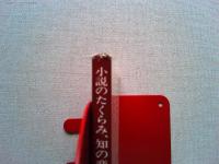 小説のたくらみ、知の楽しみ