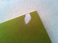 たべもの世相史・大阪