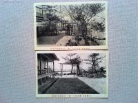 【絵葉書】山陰線松崎駅前　東郷温泉　養生館絵葉書5枚　袋付き