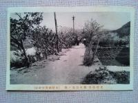 【絵葉書】山陰線松崎駅前　東郷温泉　養生館絵葉書5枚　袋付き