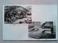 【絵葉書】箱根　堂ケ島温泉絵はがき　温泉旅館　対星館
3枚　袋付