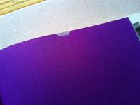 映画の青春 : Interview