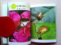 原色図鑑世界の美しすぎる昆虫