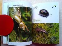 原色図鑑世界の美しすぎる昆虫