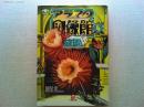 庭園