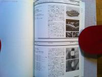 Design News 1977 75号