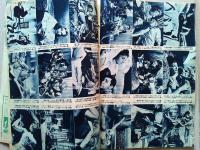 画報近代映画　1956年12月号　　表紙　岡田茉莉子