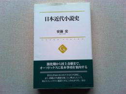 日本近代小説史