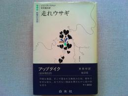 走れウサギ