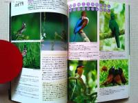 デジスコで野鳥撮影が楽しめる本　　BIRDER6月号別冊