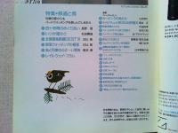 【雑誌】　　野鳥　1991年11月号　　特集　鉄道と鳥
全国探鳥路線BEST10/日比彰