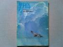 【雑誌】　　野鳥　1992年5月号　　特集　初夏の鳥を見よう